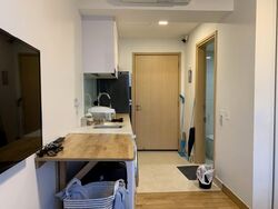 Eight Riversuites (D12), Condominium #618861651